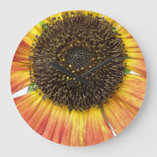 Orange Sunflower Wall Clock Große Wanduhr (Vorderseite)