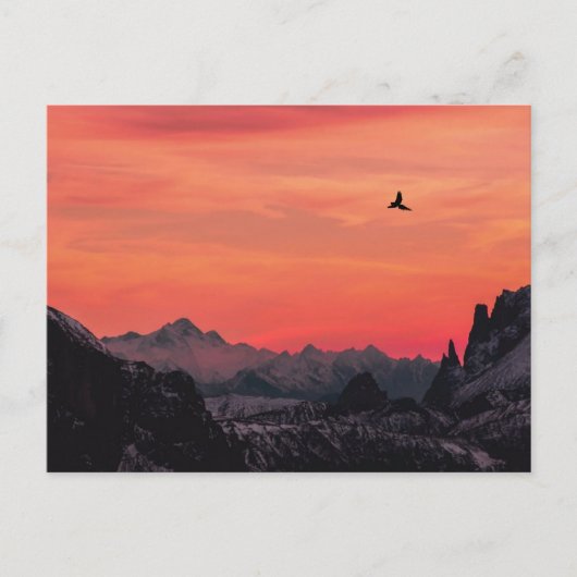 Orange Sunset Bird in Sky Postkarte (Vorderseite)