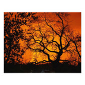 Orange Sunset Fotodruck (Vorne)