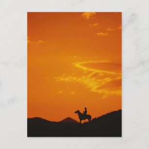 Orange Sunset mit Cowboy-Silhouette Postkarte