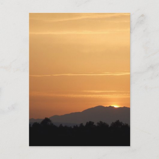 Orange Sunset Postcard Postkarte (Vorderseite)