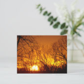 ORANGE SUNSET POSTCARD POSTKARTE (Stehend Vorderseite)