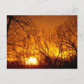 ORANGE SUNSET POSTCARD POSTKARTE (Vorderseite)