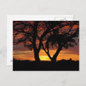 Orange Sunset Postkarte (Vorne/Hinten)