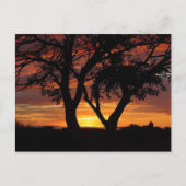 Orange Sunset Postkarte (Vorderseite)