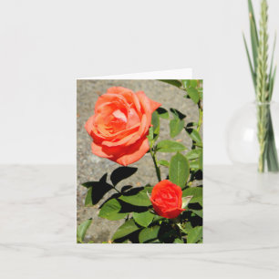 Orange Sunshine.... Karte