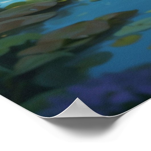 *~* Orange Sweet AP68 2:3 Kitten Niedlich Tabby Poster (Ecke)