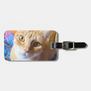 Orange Tabby auf Steppdecke Gepäckanhänger