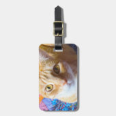 Orange Tabby auf Steppdecke Gepäckanhänger (Vorderseite vertikal)