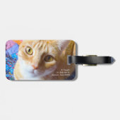 Orange Tabby auf Steppdecke Gepäckanhänger (Rückseite horizontal)