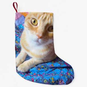 Orange Tabby auf Steppdecke Kleiner Weihnachtsstrumpf