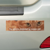 Orange Tabby Autoaufkleber (Auf Auto)