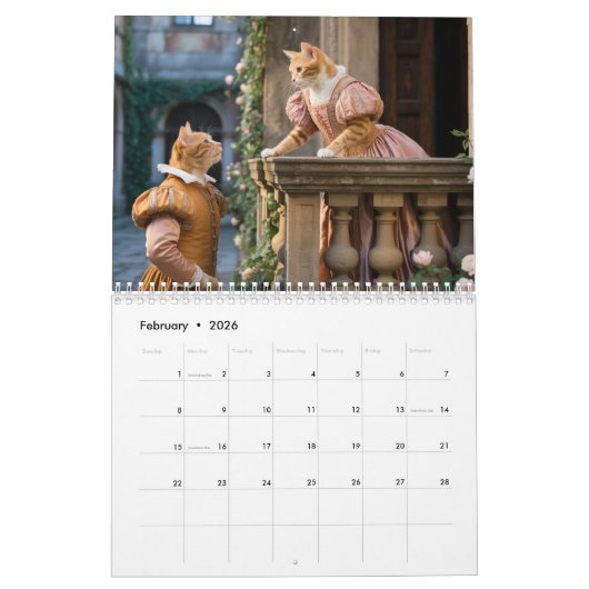 Orange Tabby Calendar Kalender (Feb 2026)