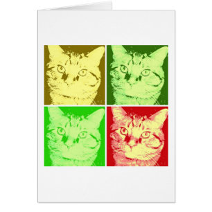Orange Tabby Cat