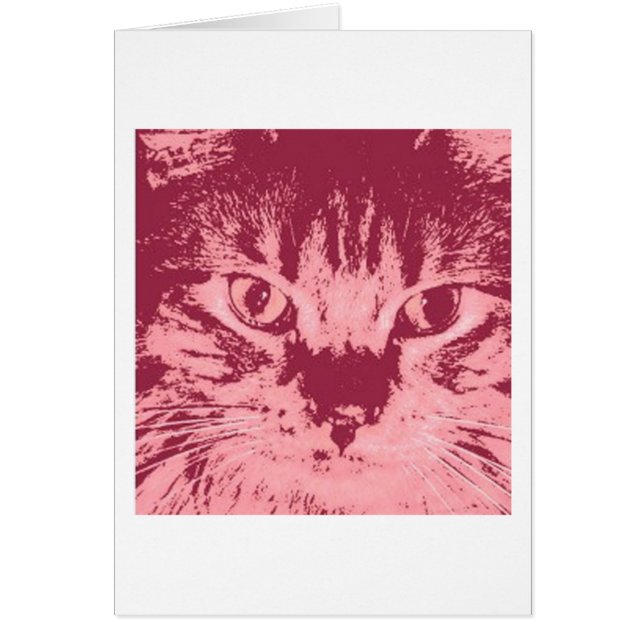 Orange Tabby Cat (Vorne)