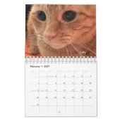 Orange Tabby Cat 2024 Kalender mit POLISH-Wörtern (Feb 2027)