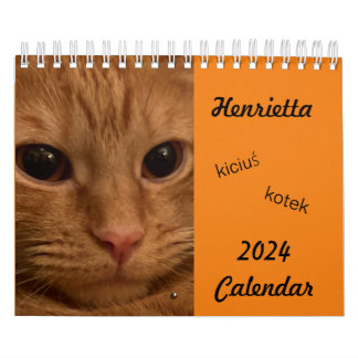 Orange Tabby Cat 2024 Kalender mit POLISH-Wörtern