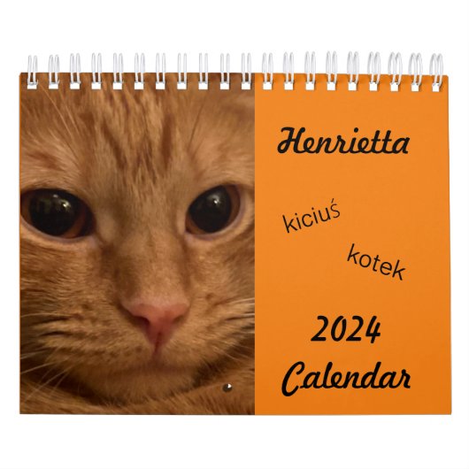 Orange Tabby Cat 2024 Kalender mit POLISH-Wörtern (Titelbild)