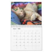 Orange Tabby Cat 2024 Kalender mit POLISH-Wörtern (Mär 2026)