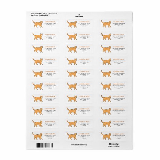 Orange Tabby Cat Address Label (Vorne)