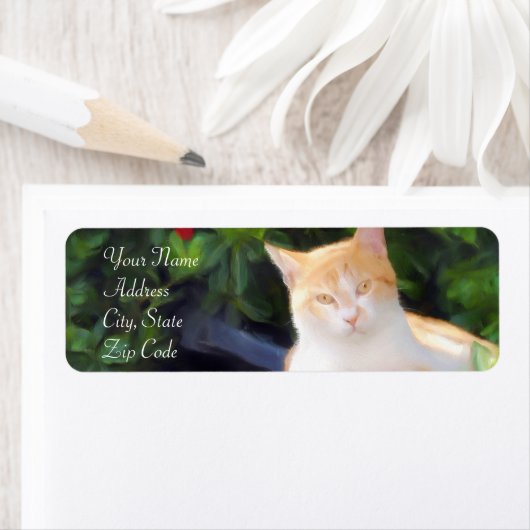 Orange Tabby Cat Address Labels (Insitu)