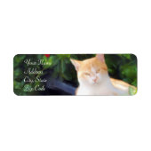 Orange Tabby Cat Address Labels (Vorne)