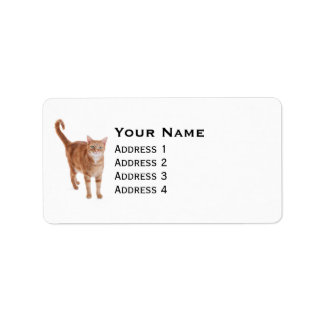 Orange Tabby Cat Adressaufkleber