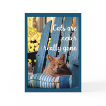 Orange Tabby Cat auf dem Beileid "Blue Chair"