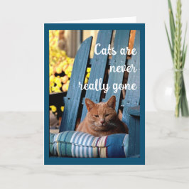 Orange Tabby Cat auf dem Beileid "Blue Chair" Ankündigung