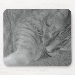 Orange Tabby Cat/Black & White Foto Mousepad