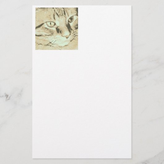 Orange Tabby Cat Briefpapier (Vorderseite)
