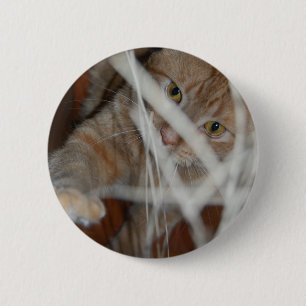 Orange Tabby Cat Button
