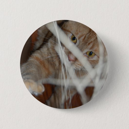 Orange Tabby Cat Button (Vorderseite)