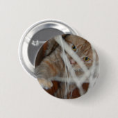 Orange Tabby Cat Button (Vorne & Hinten)