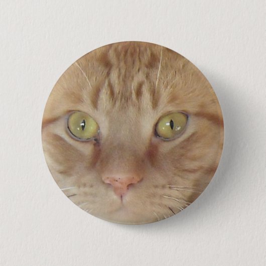 Orange Tabby Cat Button (Vorderseite)