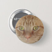 Orange Tabby Cat Button (Vorne & Hinten)