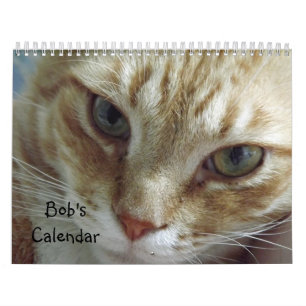 Orange Tabby Cat Calendar Mit Bob Kalender