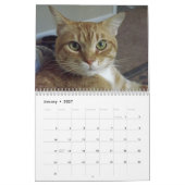 Orange Tabby Cat Calendar Mit Bob Kalender (Jan 2027)