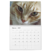 Orange Tabby Cat Calendar Mit Bob Kalender (Feb 2027)