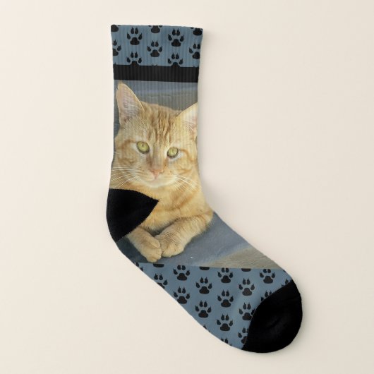 Orange Tabby Cat Custom Blue Socken (Links - Innen)