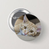 Orange Tabby Cat Cute  Button (Vorne & Hinten)