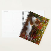 Orange Tabby Cat - Daily Planner - HAMbWG Planer (Anzeige)