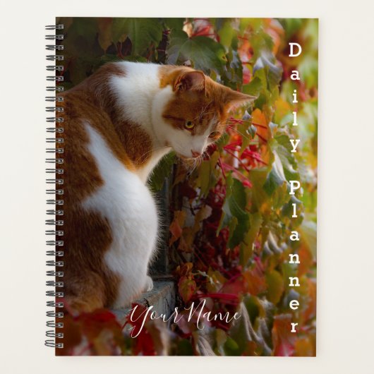 Orange Tabby Cat - Daily Planner - HAMbWG Planer (Vorderseite)