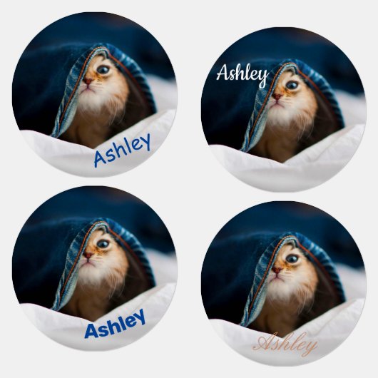 Orange Tabby Cat Etiketten (Gruppe)