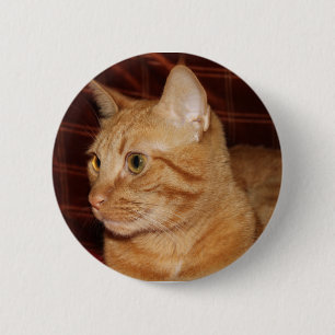Orange Tabby Cat Face Profil Button