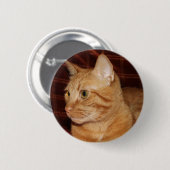 Orange Tabby Cat Face Profil Button (Vorne & Hinten)