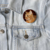 Orange Tabby Cat Face Profil Button (Beispiel)