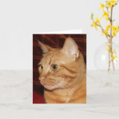 Orange Tabby Cat Face Profil Karte (Gelbe Blume)
