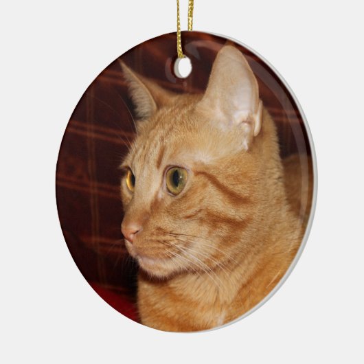 Orange Tabby Cat Face Profil Keramikornament (Links)