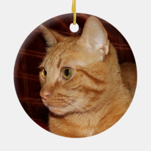 Orange Tabby Cat Face Profil Keramikornament (Hinten)